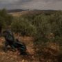 Copertina di Due italiani detenuti per un giorno in Cisgiordania con l’accusa di terrorismo: “Io bendato e picchiato dalla polizia israeliana”