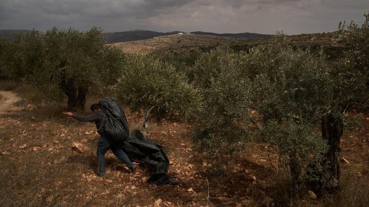 due italiani detenuti per un giorno in cisgiordania con l8217accusa di terrorismo io bendato e picchiato dalla polizia israeliana da Ilfattoquotidiano.it due italiani detenuti per un giorno in cisgiordania con l8217accusa di terrorismo io bendato e picchiato dalla polizia israeliana
