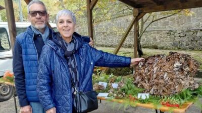 Copertina di Il ritrovamento straordinario in Toscana: Tiziana e Valter tornano a casa con 25 chili di fungo