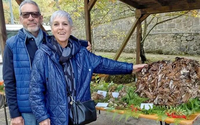Il ritrovamento straordinario in Toscana: Tiziana e Valter tornano a casa con 25 chili di fungo
