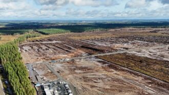 Copertina di Google abbatte 250mila alberi in Finlandia per costruire un data center da 13 miliardi