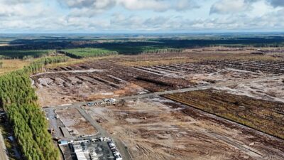 Copertina di Google abbatte 250mila alberi in Finlandia per costruire un data center da 13 miliardi