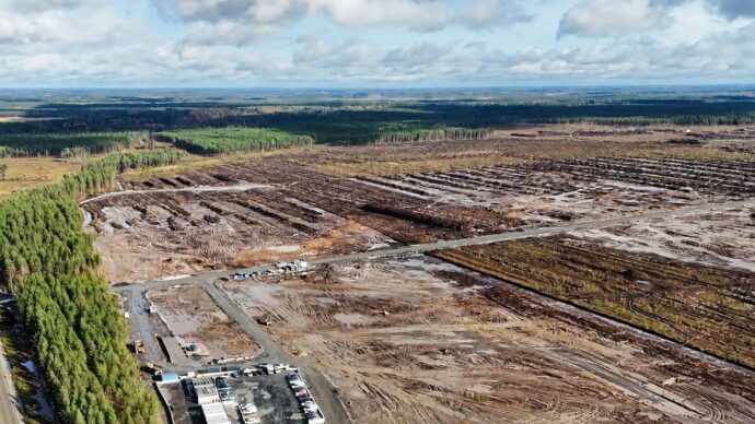 Google abbatte 250mila alberi in Finlandia per costruire un data center da 13 miliardi