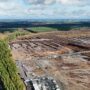 Copertina di Google abbatte 250mila alberi in Finlandia per costruire un data center da 13 miliardi