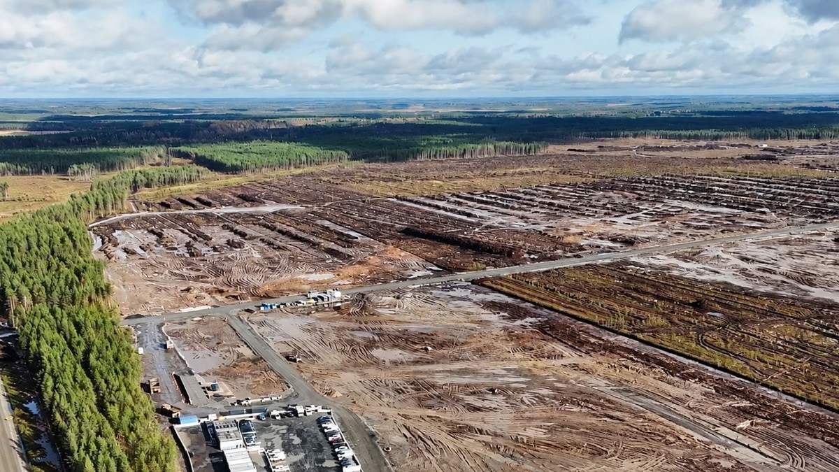 google abbatte 250mila alberi in finlandia per costruire un data center da 13 miliardi da Ilfattoquotidiano.it google abbatte 250mila alberi in finlandia per costruire un data center da 13 miliardi
