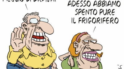Copertina di La vignetta di Franzaroli