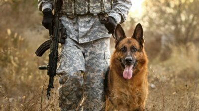 Copertina di Così il fondatore di Anduril lancia i cani militari