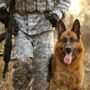 Copertina di Così il fondatore di Anduril lancia i cani militari