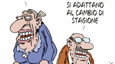 Copertina di La vignetta di Franzaroli