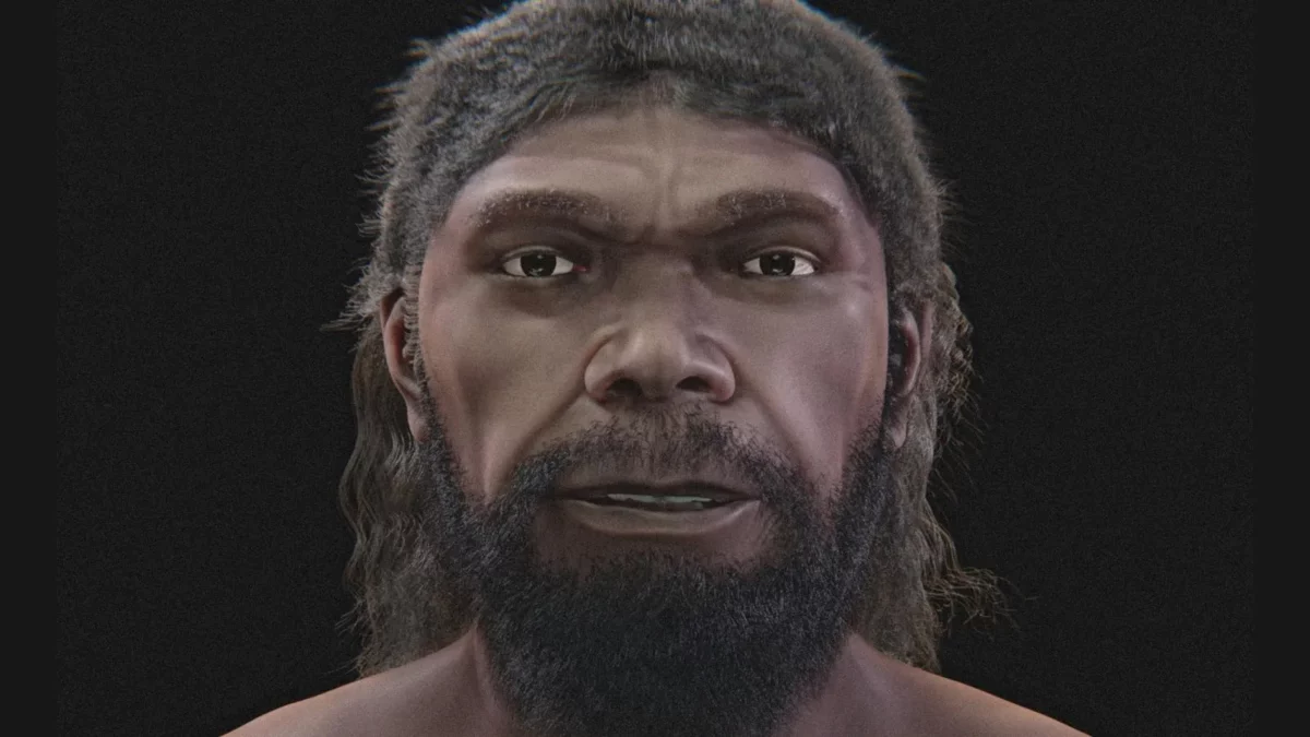 Reconstruyen en 3D el rostro del Homo sapiens más antiguo conocido