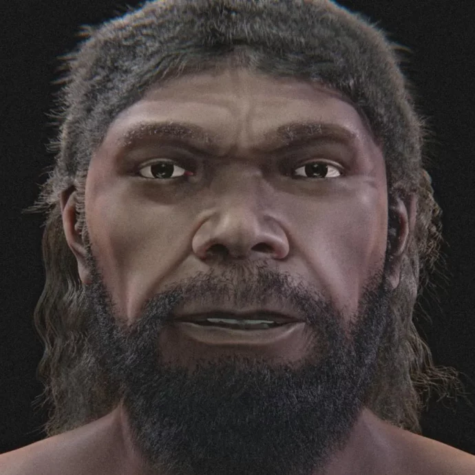 Ha 315.000 anni e “passerebbe inosservato tra la folla”: ricostruito in 3D il volto dell’Homo sapiens più antico del mondo