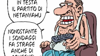 Copertina di La vignetta di Franzaroli