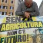 Copertina di Agricoltori in piazza, la crisi che va oltre il caro-gasolio. Serve l’umiltà di ascoltare e cambiare strada – La trave nel piatto