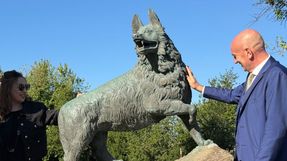 inaugurata a roma una statua dedicata a dox il cane che per decenni ha servito la polizia di stato da Ilfattoquotidiano.it inaugurata a roma una statua dedicata a dox il cane che per decenni ha servito la polizia di stato