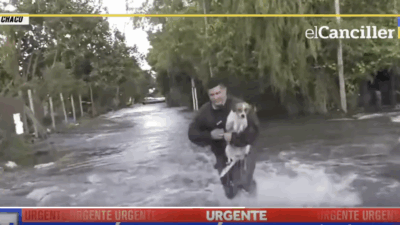 Copertina di “L’unica cosa importante era salvargli la vita”: giornalista interrompe la diretta per salvare un cane travolto dall’alluvione, la storia di Alejandro e Bartolito