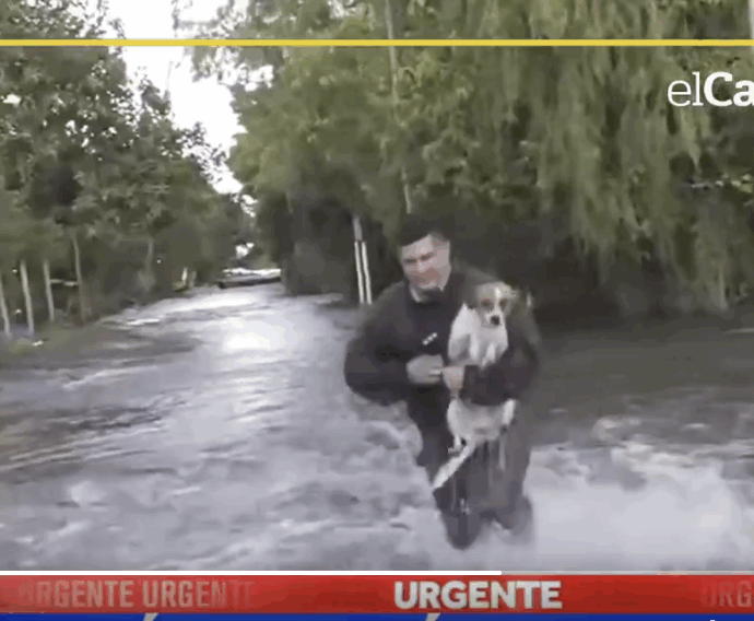 “L’unica cosa importante era salvargli la vita”: giornalista interrompe la diretta per salvare un cane travolto dall’alluvione, la storia di Alejandro e Bartolito