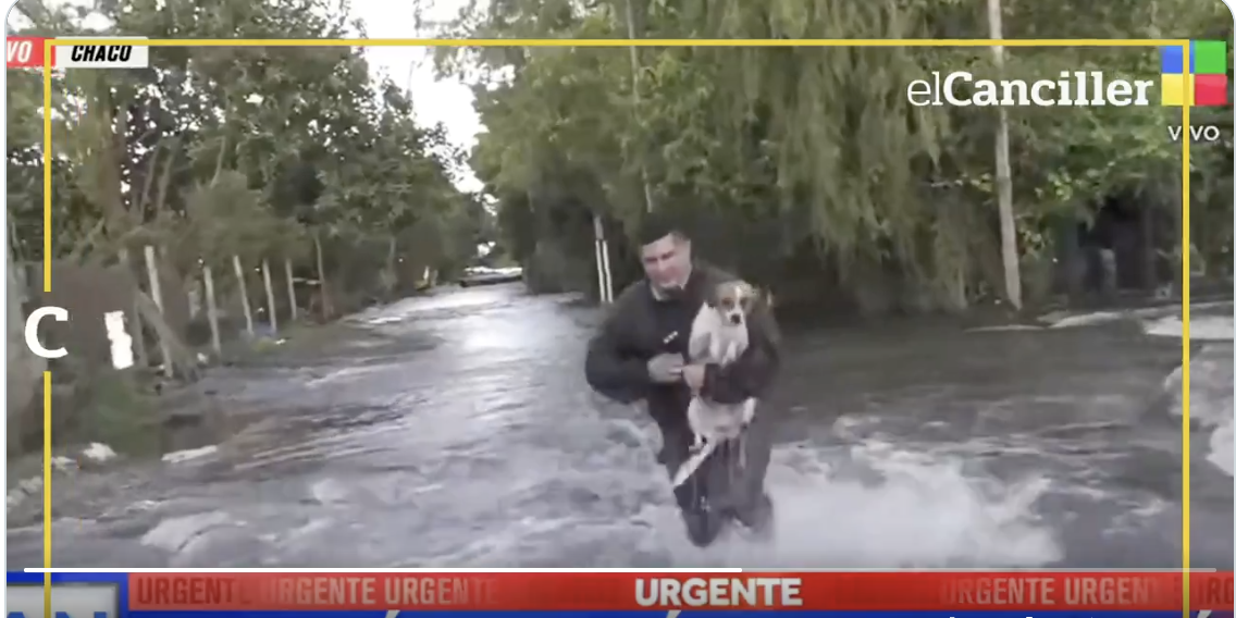 l8217unica cosa importante era salvargli la vita giornalista interrompe la diretta per salvare un cane travolto dall8217alluvione la storia di alejandro e bartolito da Ilfattoquotidiano.it l8217unica cosa importante era salvargli la vita giornalista interrompe la diretta per salvare un cane travolto dall8217alluvione la storia di alejandro e bartolito