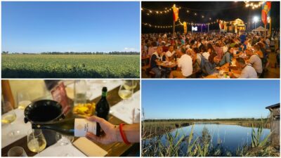 Copertina di Un weekend d’autunno tra vino, natura e bicicletta: alla scoperta dell’entroterra di Caorle, tra cantine storiche, vigneti sotto il livello del mare e percorsi ciclabili nella laguna