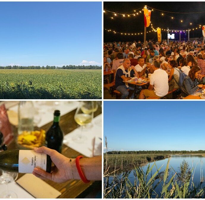 Un weekend d’autunno tra vino, natura e bicicletta: alla scoperta dell’entroterra di Caorle, tra cantine storiche, vigneti sotto il livello del mare e percorsi ciclabili nella laguna